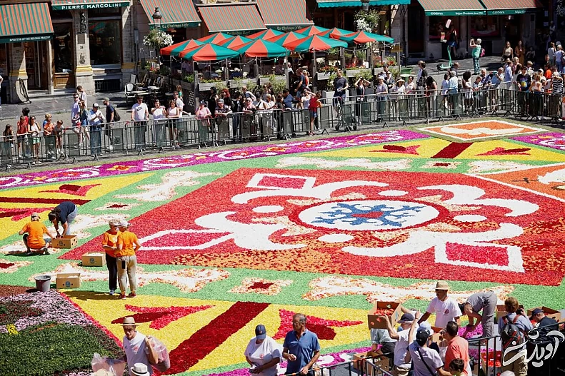 تصاویر زیباترین فرش‌های گل جهان | راهکار بروکسل برای پهن کردن یک فرش گل زیبا | وجه تمایز فرش گل محلات و فرش گل کرج را ببینید
